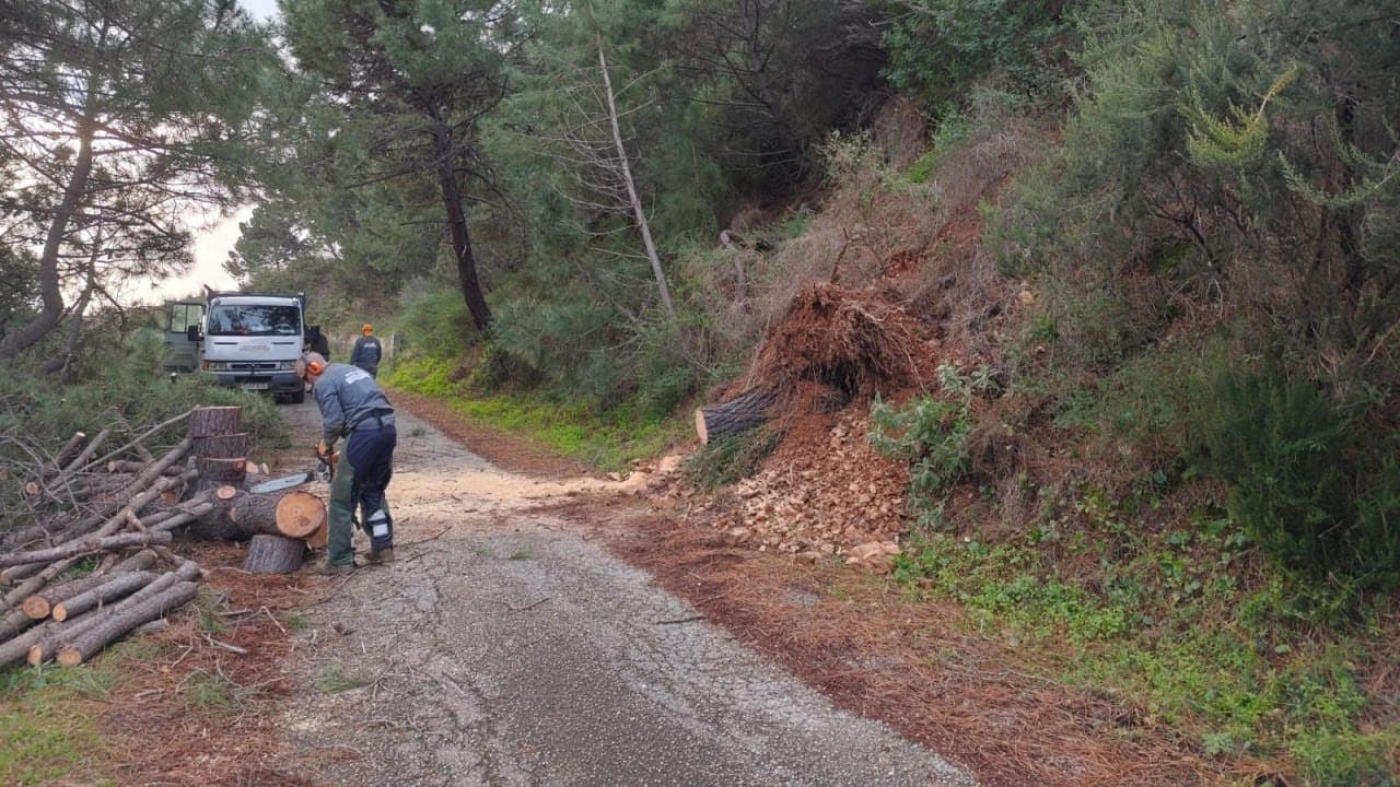 Miniatura de video 2