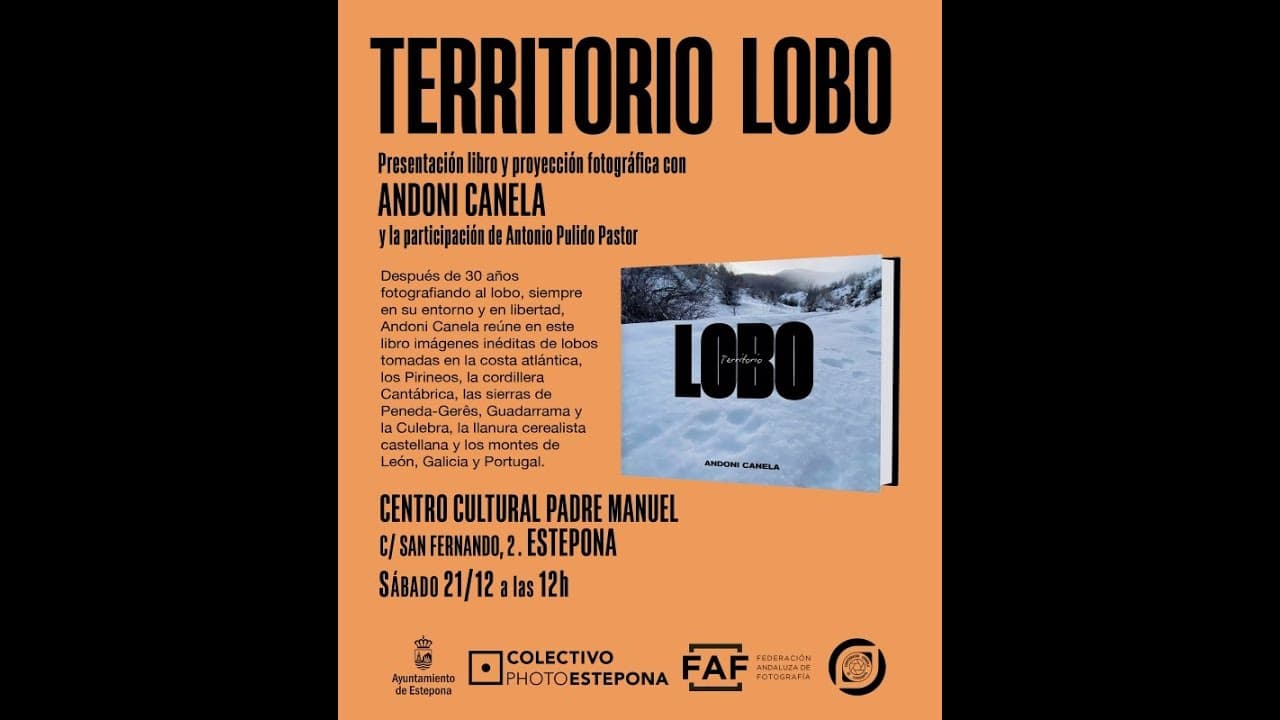 Miniatura de video 2