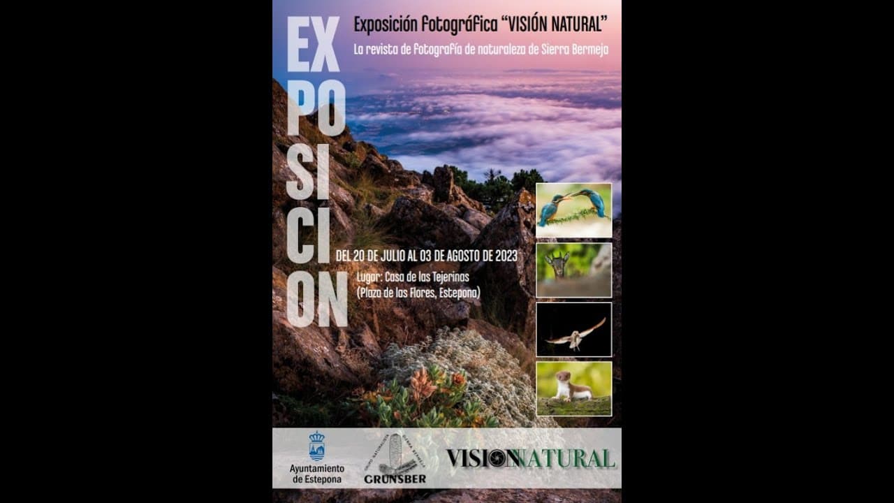 Miniatura de video 2