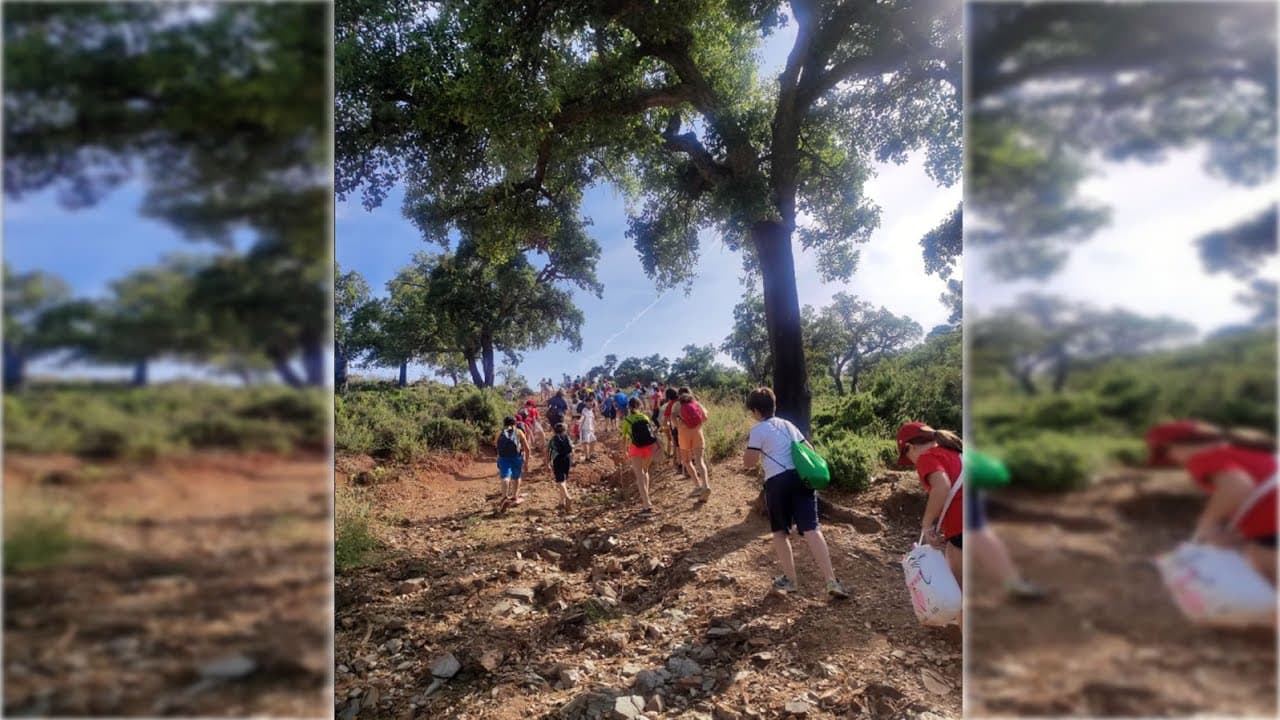 Miniatura de video 3