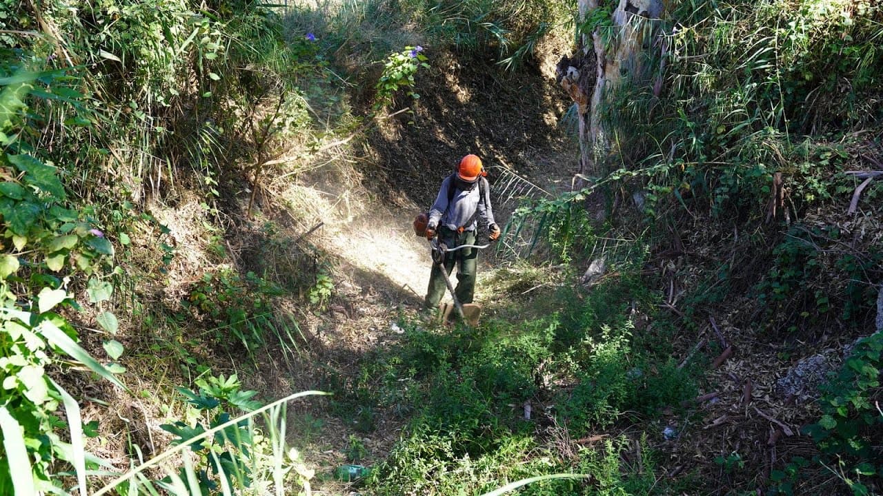 Miniatura de video 2