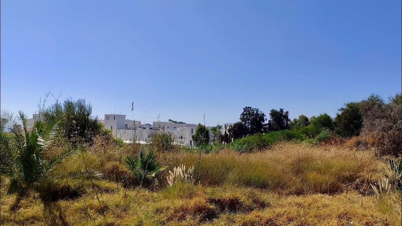 Miniatura de video 2