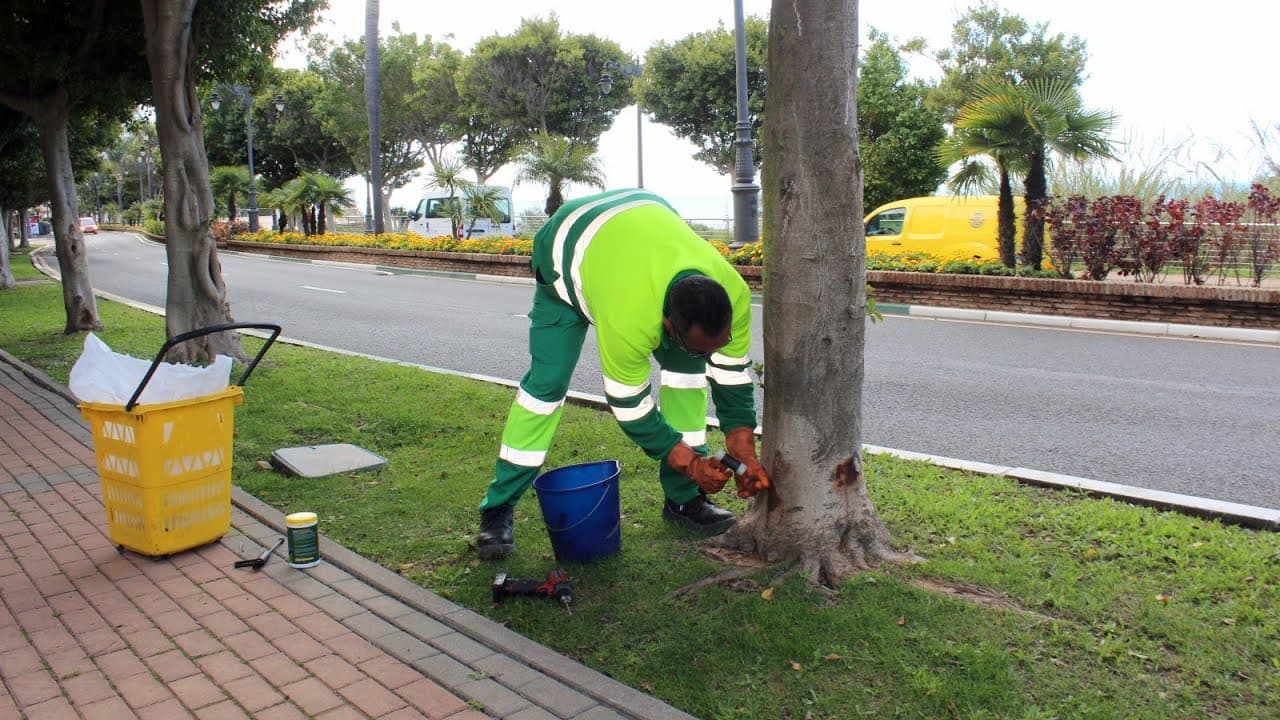 Miniatura de video 2