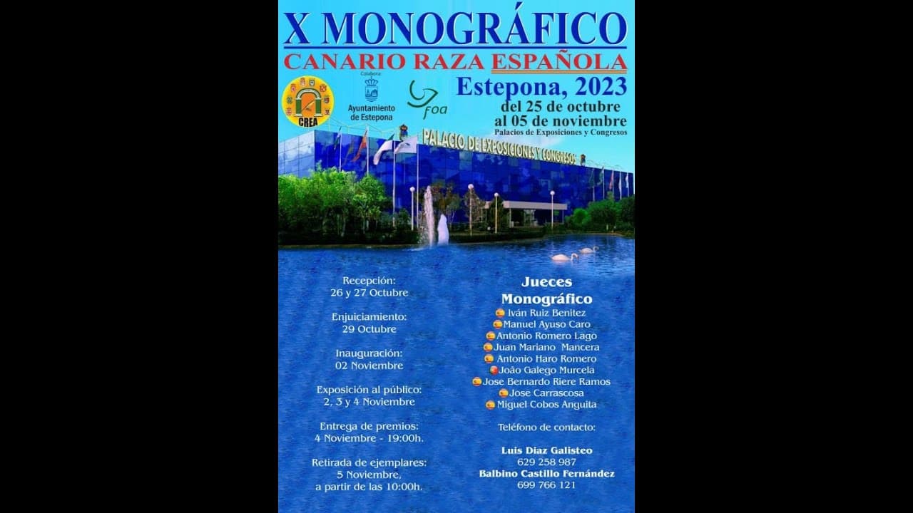 Miniatura de video 2