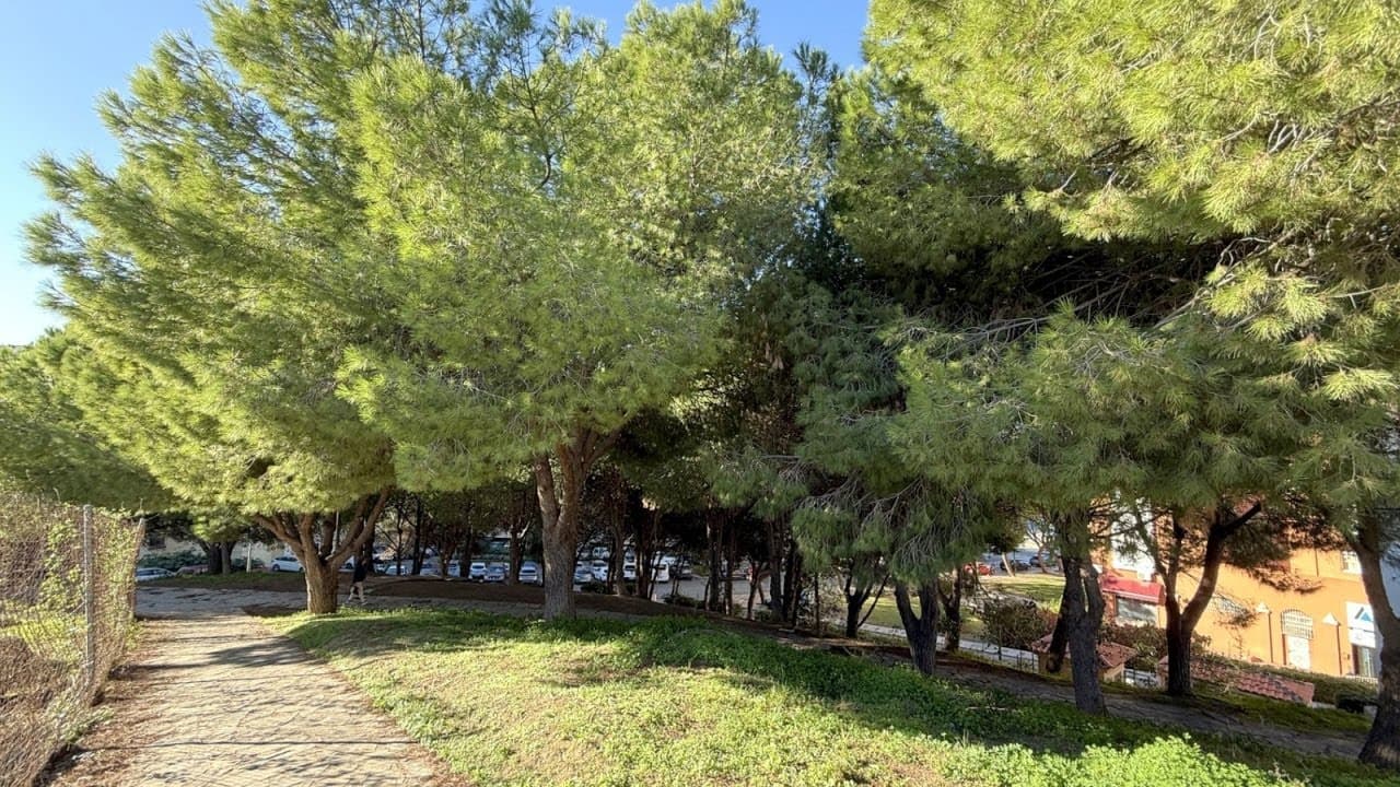 Miniatura de video 2