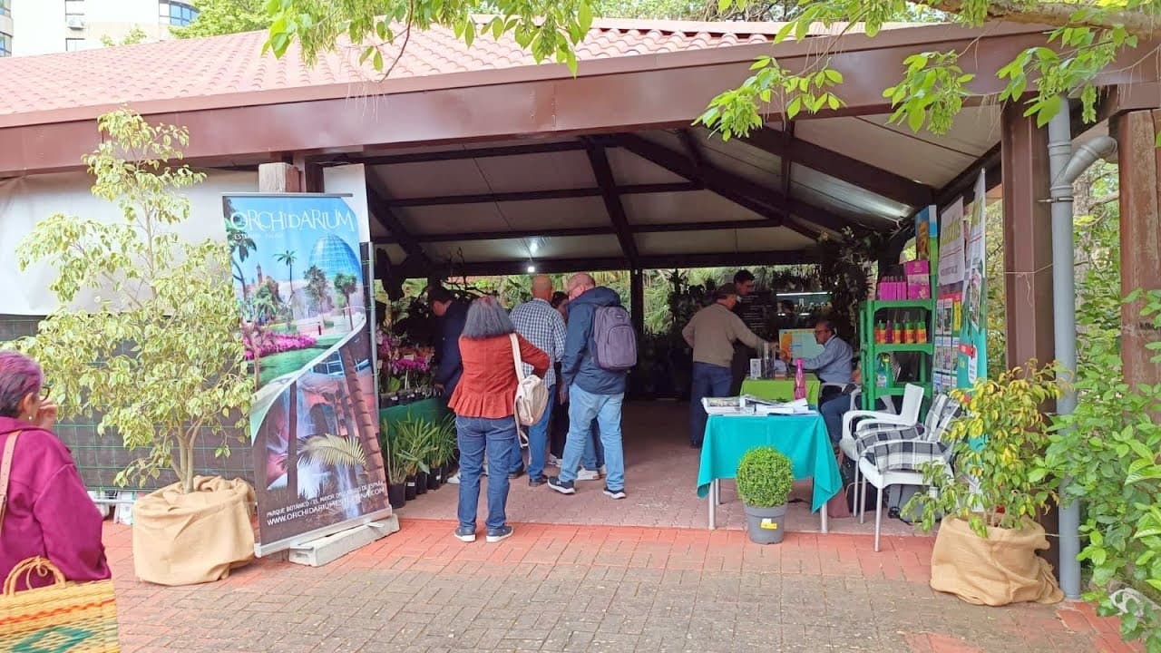 Miniatura de video 2