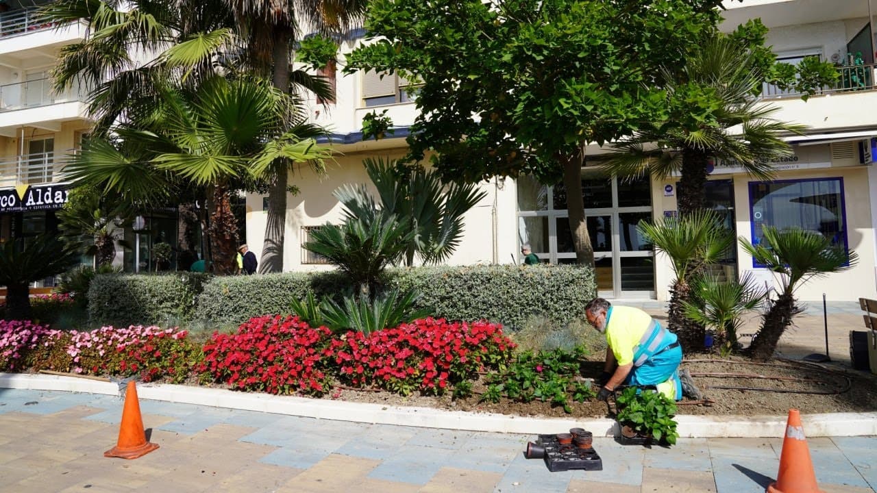 Miniatura de video 2