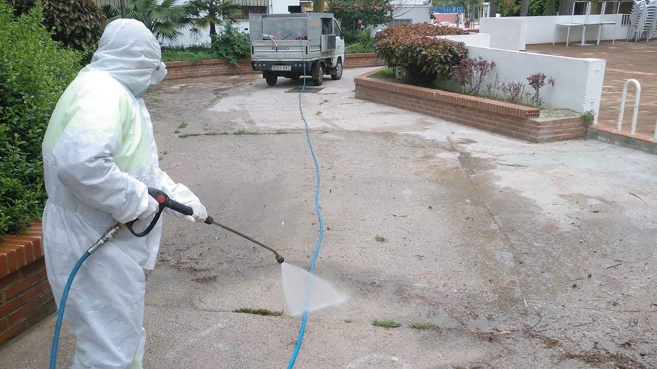 Miniatura de video 2