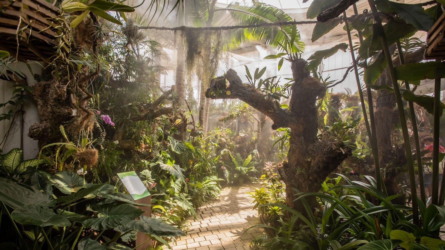 El Orquidario de Estepona tendrá una instalación pionera en la que las orquídeas crearán música en directo