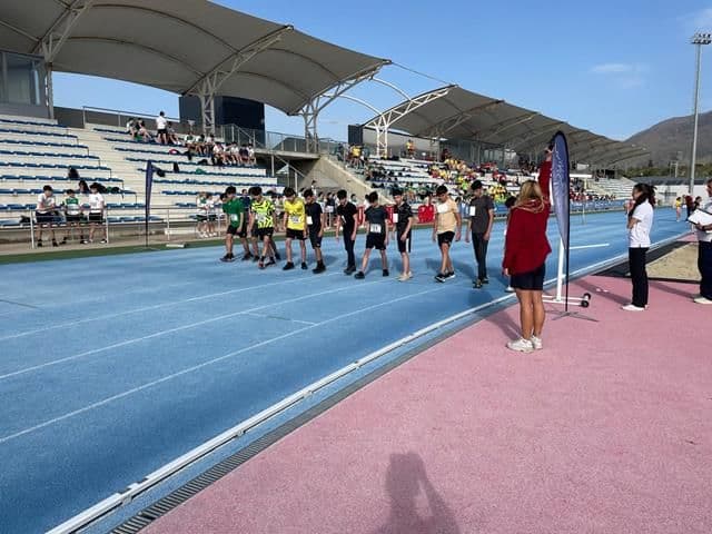 Miniatura 10