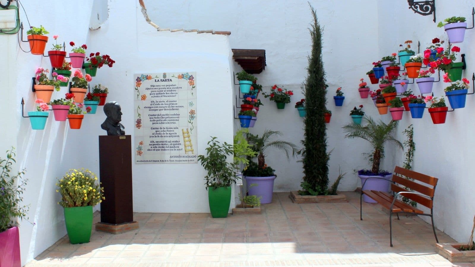 Imagen 1