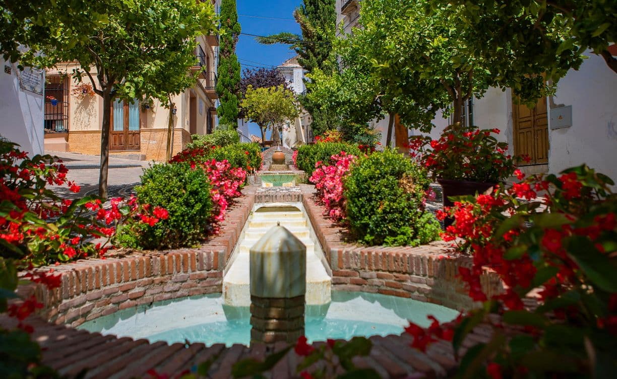 Imagen 1