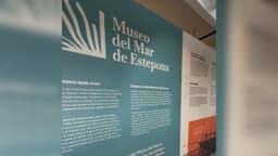 El Ayuntamiento inaugura mañana el nuevo Museo de Mar tras la reforma que ha supuesto la creación de nuevos espacios expositivos, contenidos audiovisuales y una recreación de pradera marina