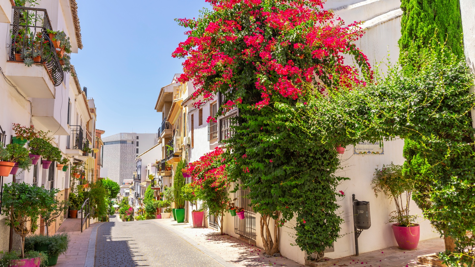 Una de las mayores asociaciones de jardinería en Andalucía reconoce a Estepona por la protección y puesta en valor de sus espacios verdes 