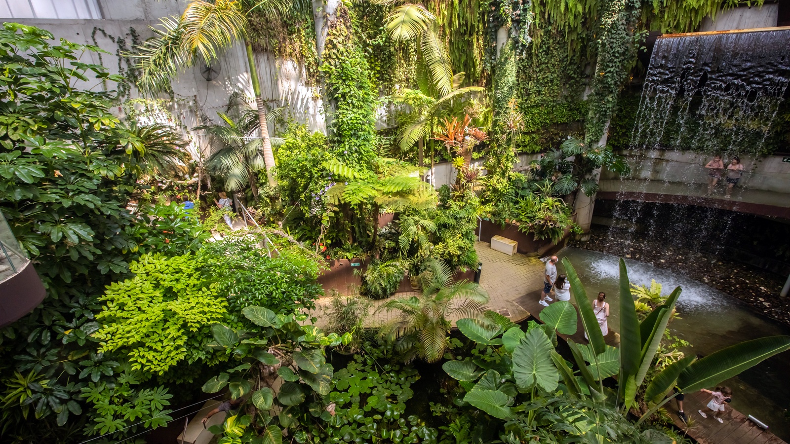 Foto El Parque Botánico-Orquidario alcanza la mayor cifra de visitas desde su apertura con más de 54.000 entradas en un año 