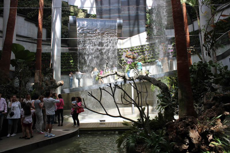 Foto El Parque Botánico-Orquidario de Estepona recibe más de 5.000 visitas durante la primera mañana