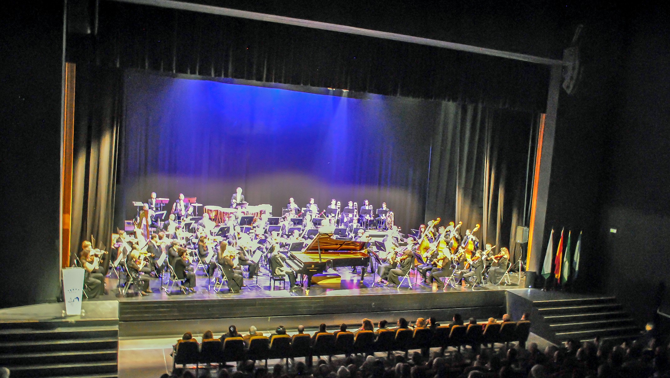 Foto El Ayuntamiento organiza un concierto de la Orquesta Filarmónica de Málaga a beneficio de la Plataforma para la Promoción del Voluntariado de Estepona