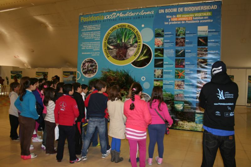 Foto Estepona acoge una exposición didáctica dirigida a la conservación de la posidonia oceánica en el litoral 