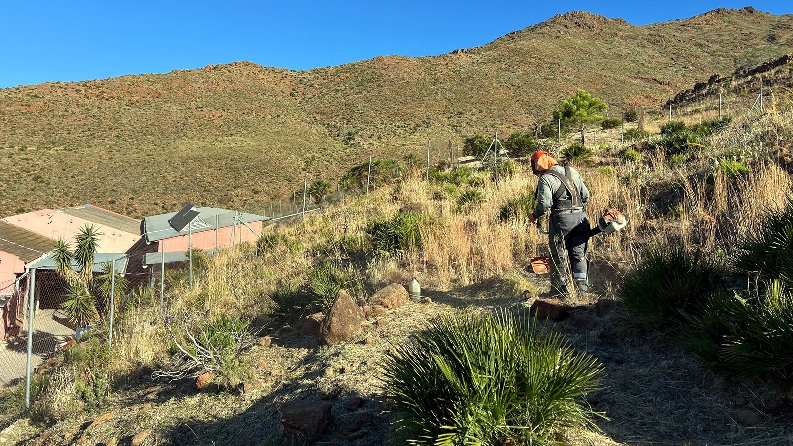 El Ayuntamiento realiza la limpieza y desbroce de 94 kilómetros de caminos rurales y parcelas para prevenir incendios forestales