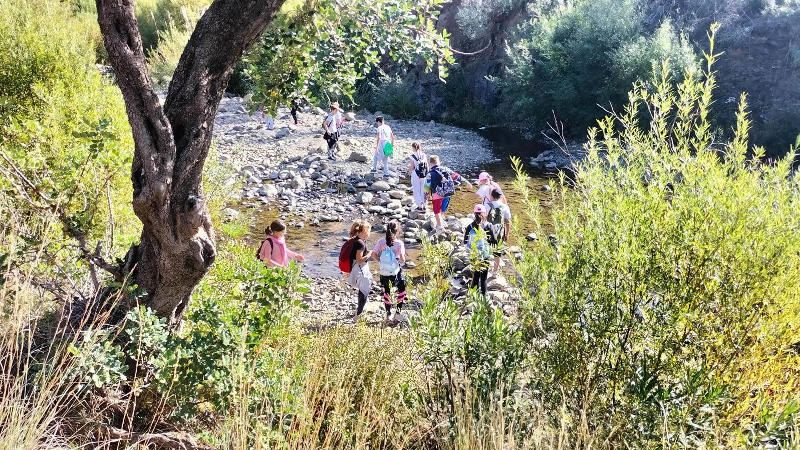 Foto Un total de 2.000 alumnos han participado en lo que va de curso en las Rutas de Senderismo Escolar organizadas por el Ayuntamiento